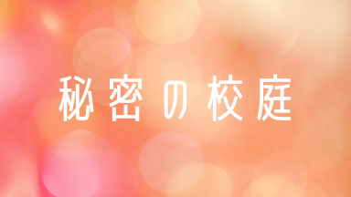 彼女はキレイだったの動画を無料で視聴できる方法 最終回まで日本語字幕付き配信サイト キムさんのおすすめドラマ 映画 ドラマの動画無料視聴まとめサイト